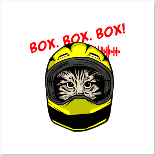 funny cat driver – Box, box, box! (Silvinho) Posters and Art